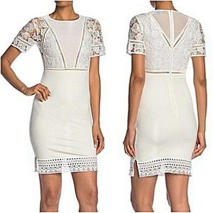 Nwt French Connection Viola Lula Lace Dress 2 Chic White Wedding Bridal Cocktail